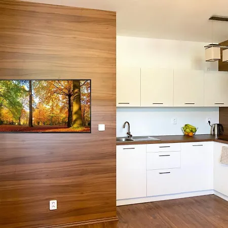 U Dvou Smrku Apartman *
