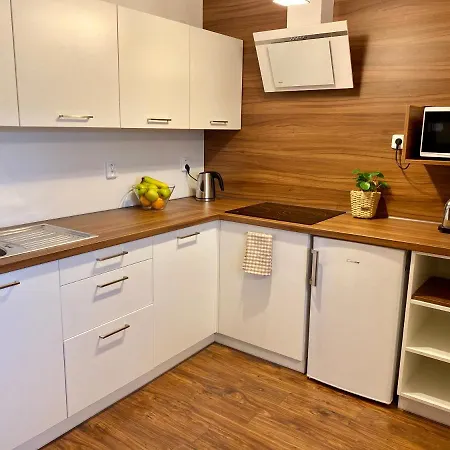 U Dvou Smrku Apartman *