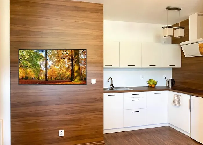 U Dvou Smrků Apartamento *