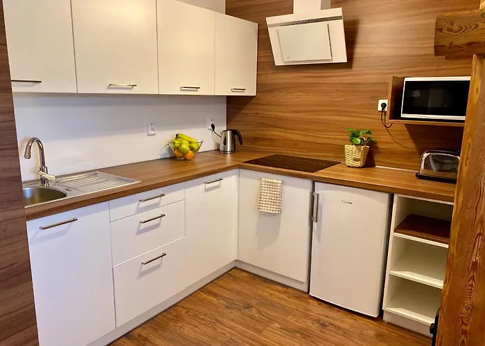 U Dvou Smrku Apartment *