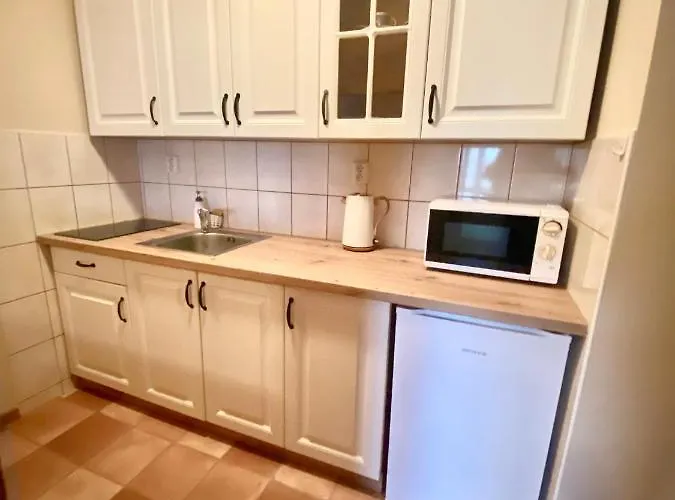 Apartamento U Dvou Smrků Dolní Morava